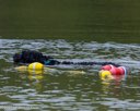20260822-CWD-0160