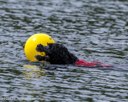 20260822-CWD-0205