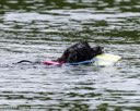 20260822-CWD-0226