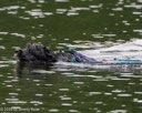 20260822-CWD-0266