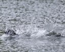 20260822-CWD-0297