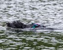 20260822-CWD-0298