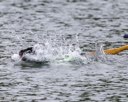 20260822-CWD-0325