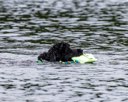 20260822-CWD-0329