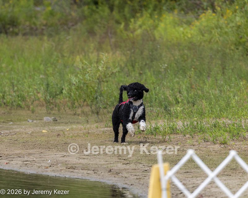 20260822-CWD-0084.jpg
