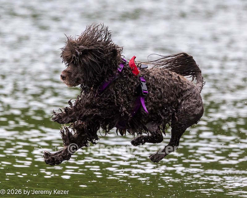 20260822-CWD-0129.jpg