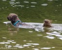 20260822-JWD-0023