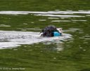 20260822-Master-0058