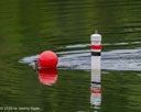 20260822-Master-0070