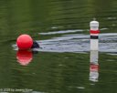 20260822-Master-0071