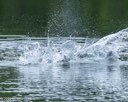 20260822-WWD-0019