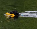 20260822-WWD-0021