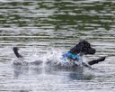 20260822-WWD-0029