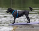 20260822-WWD-0043