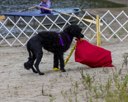 20260822-WWD-0053