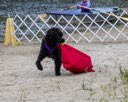 20260822-WWD-0054