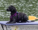 20260822-WWD-0077