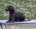 20260822-WWD-0078