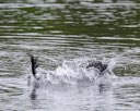 20260822-WWD-0085
