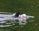 20260822-WWD-0088