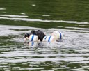 20260822-WWD-0089
