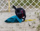 20260822-WWD-0093