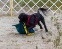 20260822-WWD-0095