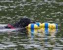 20260822-WWD-0133