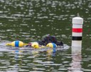 20260822-WWD-0134