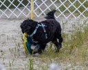 20260822-WWD-0143