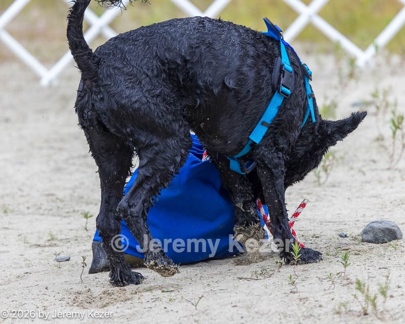 20260822-WWD-0009.jpg