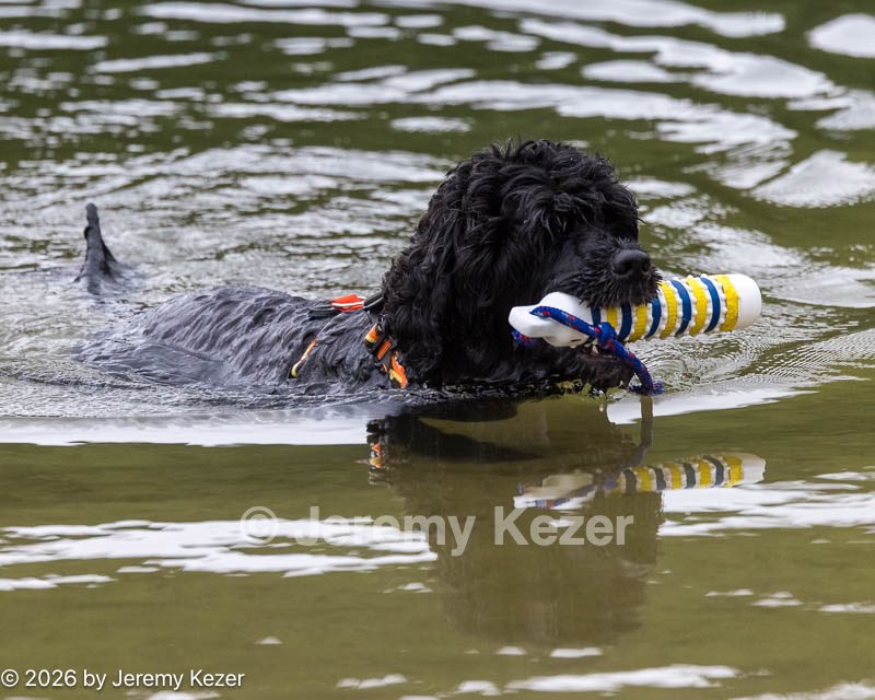 20260823-AWD-0008.jpg