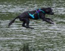 20260823-CWD-0033