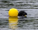 20260823-CWD-0125