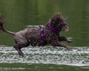 20260823-CWD-0181