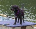 20260823-Master-0057
