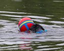 20260823-WWD-0113