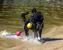 20260829-AWD-0149