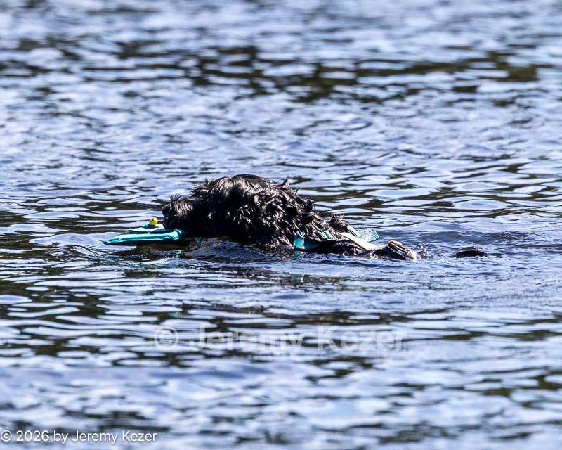 20260829-CWD-0007.jpg
