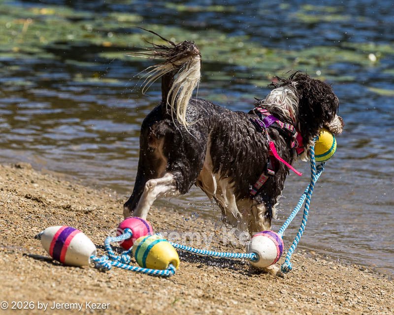 20260829-CWD-0050.jpg