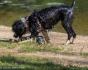 20260829-Master-0061