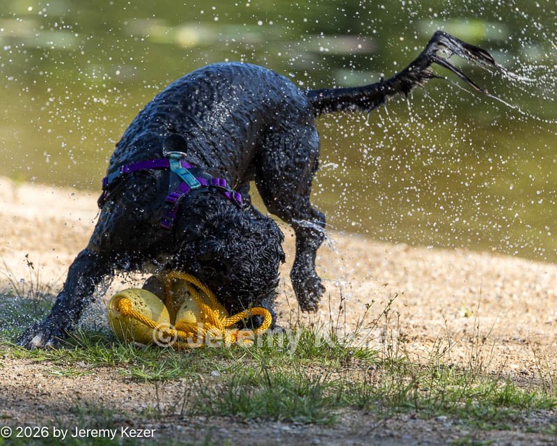 20260829-Master-0126.jpg
