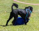 20260829-WWD-0035