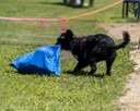 20260829-WWD-0058
