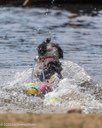 20260830-CWD-0165