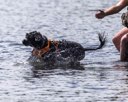 20260830-CWD-0237