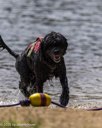 20260830-CWD-0294