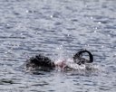 20260830-CWD-0309
