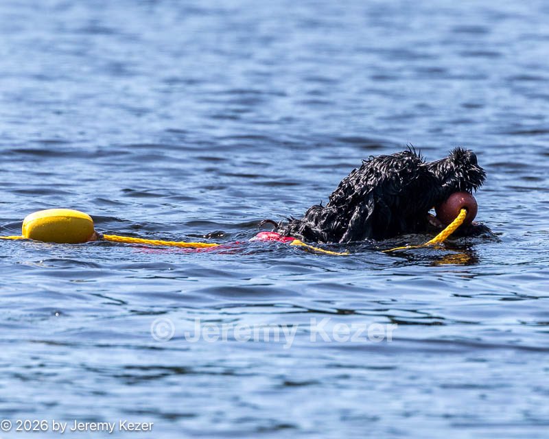 20260830-CWD-0088.jpg