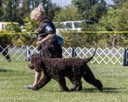 20260925-WC-0148